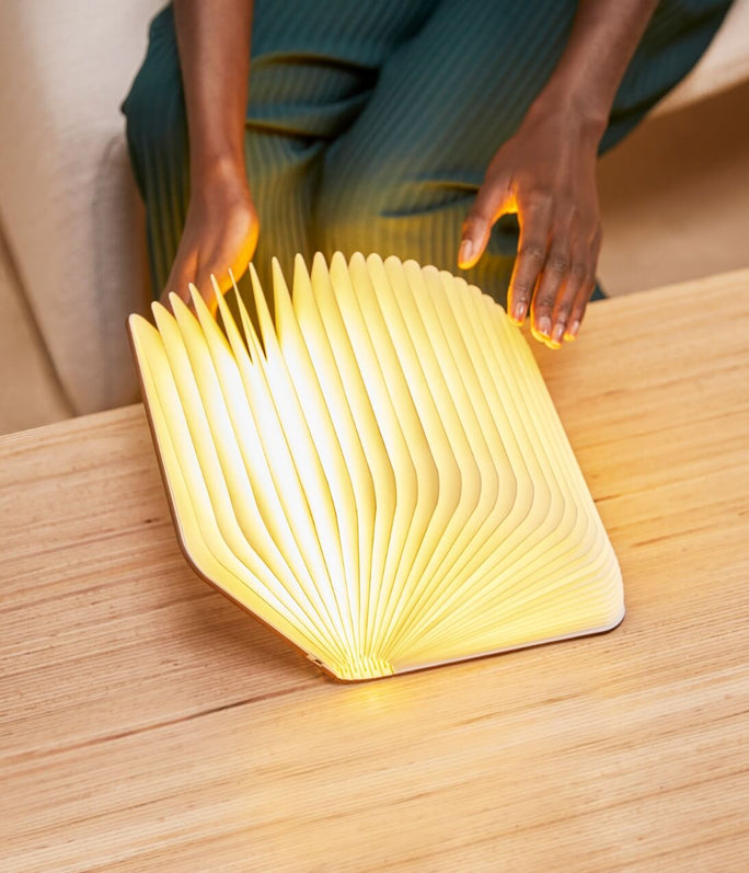Award-winning portable lamp