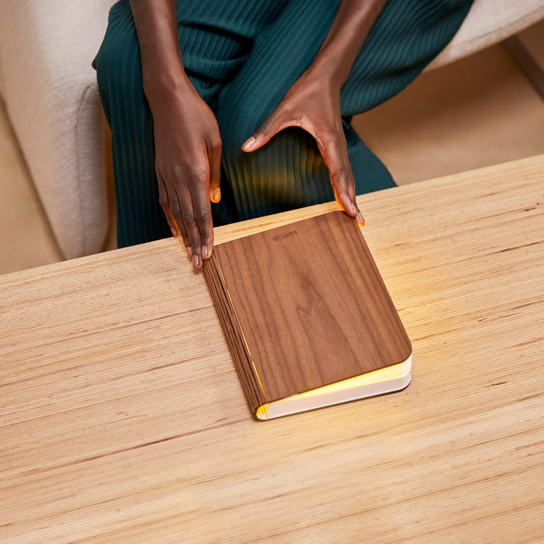 Award-winning portable lamp